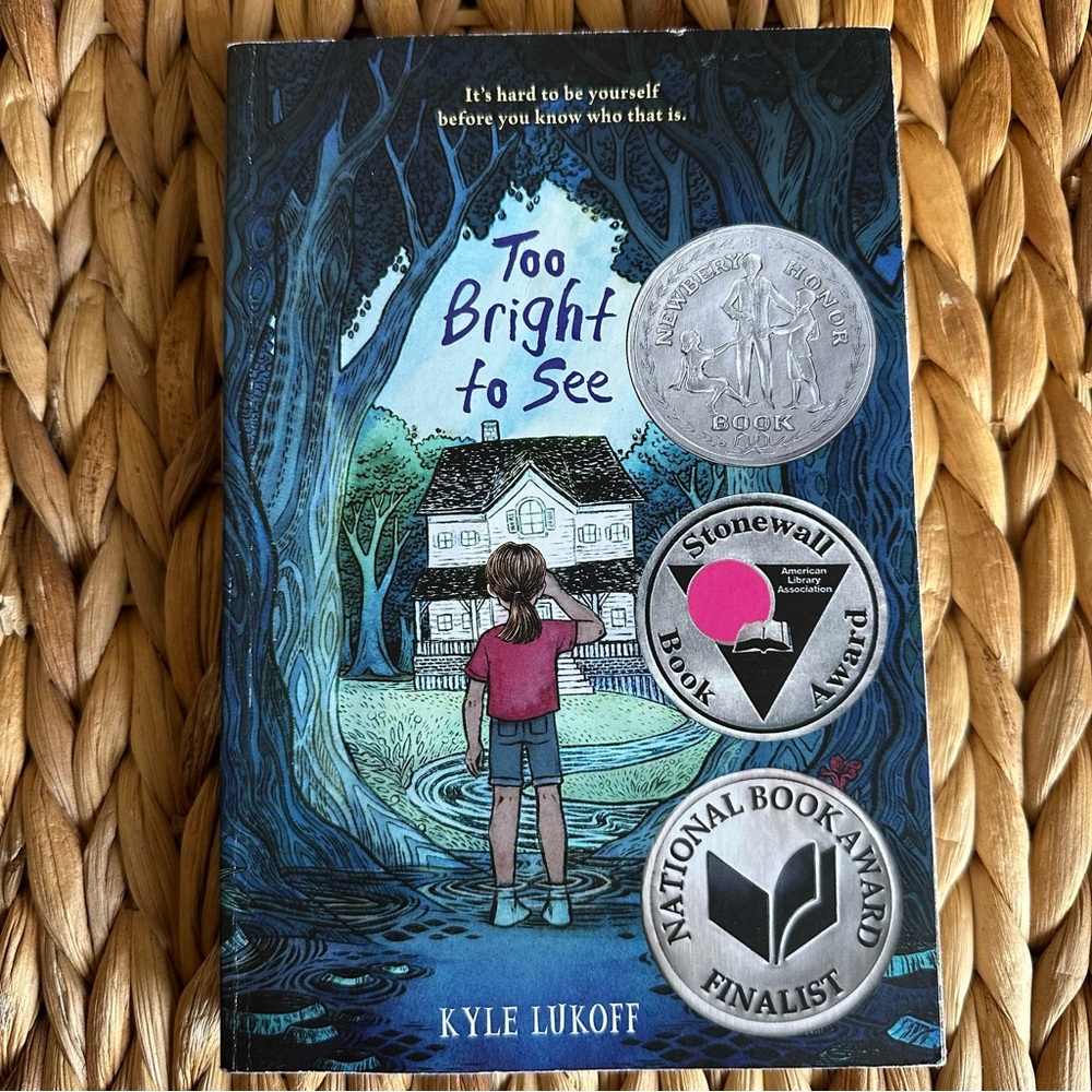 Too Bright To See - Kyle Lukoff - Stonewall Book Award - Paperback